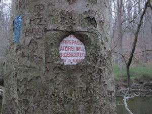 NatureReclaims. - Imgur